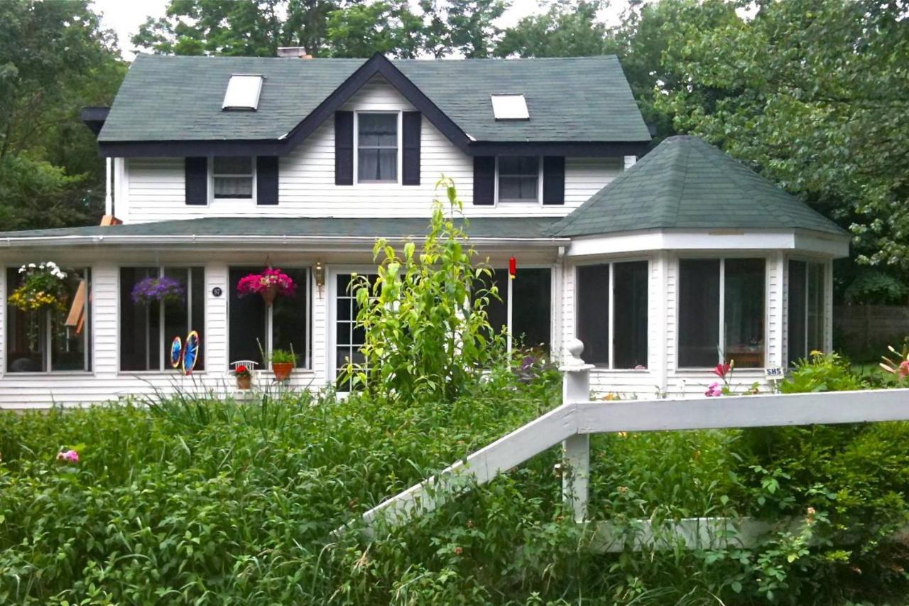 Play All Day - Sleep By The Stream At Night - Swimming Hole Palenville Exterior foto